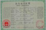 出生醫學證明翻譯模板（中譯英）